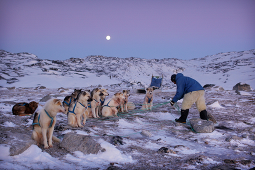 BBC Human Planet : Arctic Dawn