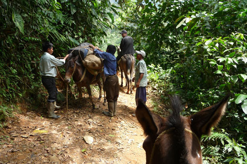 A muddy mule ride