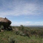 One of the regular spots the Dorobo use to spot wildlife and sleep out under.